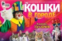 Московский театр кошек Куклачева / Кошки в городе