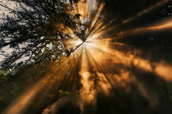 &Scy;&ocy;&lcy;&ncy;&tscy;&iecy; &icy; &zhcy;&icy;&zcy;&ncy;&softcy; &Zcy;&iecy;&mcy;&lcy;&icy;