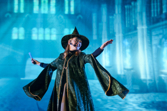 Мультимедийный спектакль "Школа Волшебников"