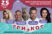 Три плюс кот