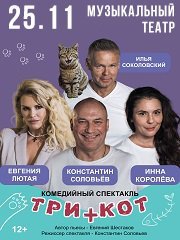 Три плюс кот