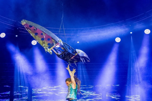 По щучьему велению