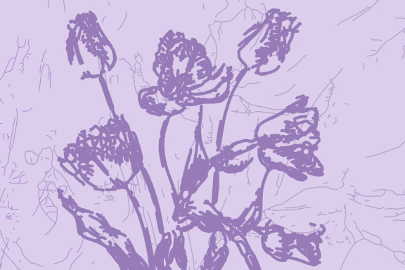 &Mcy;&icy;&ncy;&icy;&mcy;&acy;&lcy;&icy;&zcy;&mcy;&period; Canto Ostinato