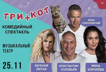 Три плюс кот