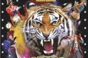 Королевские тигры Суматры