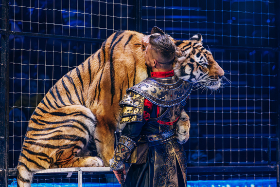 &Icy;&mcy;&pcy;&iecy;&rcy;&acy;&tcy;&ocy;&rcy;&scy;&kcy;&icy;&jcy; &tscy;&icy;&rcy;&kcy; &Mcy;&ocy;&rcy;&iecy;&tcy;&tcy;&icy; &Icy;&rcy;&kcy;&ucy;&tcy;&scy;&kcy;